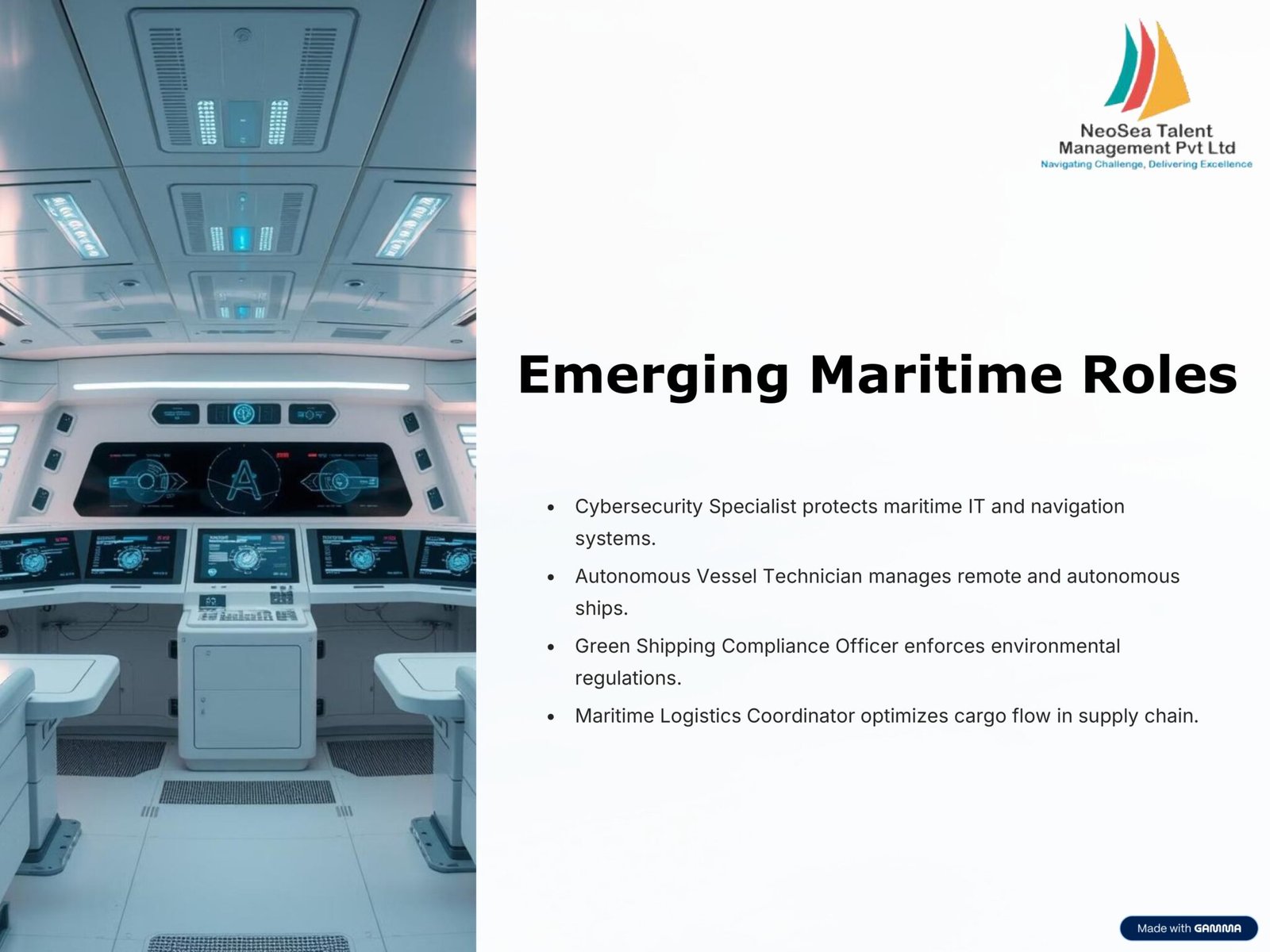 Starting-Your-Maritime-Career-in-2025 blog_page-0003